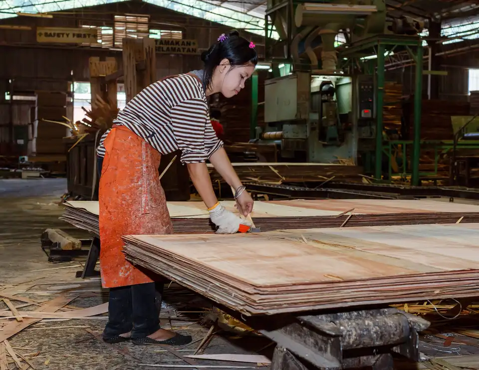 Plywood — showroom stock photo 2