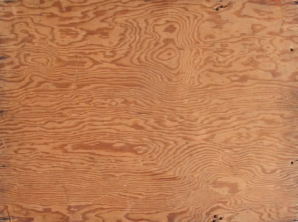 Plywood — showroom stock photo 3