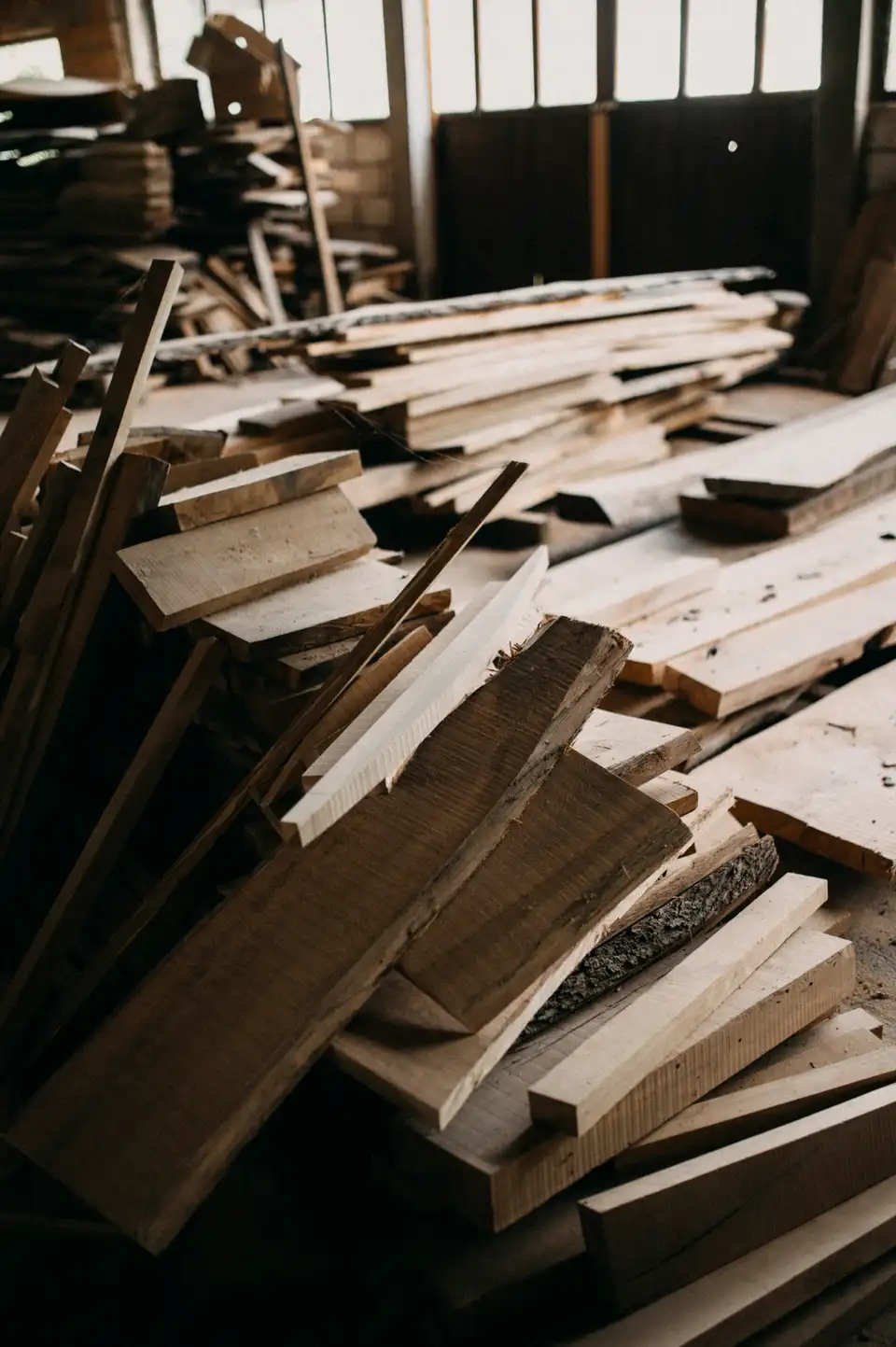 Timber — showroom stock photo 2